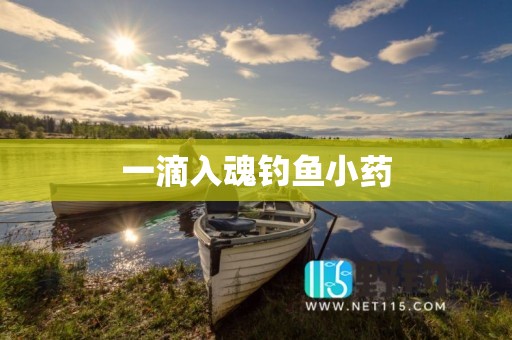 一滴入魂钓鱼小药