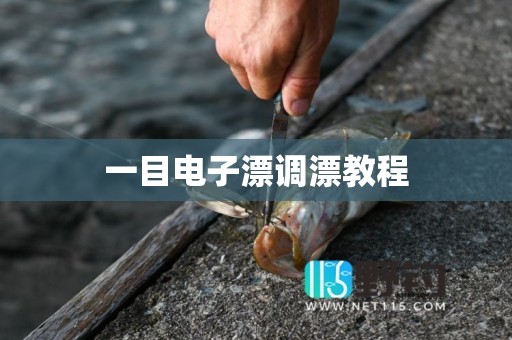 一目电子漂调漂教程
