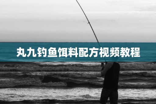 丸九钓鱼饵料配方视频教程