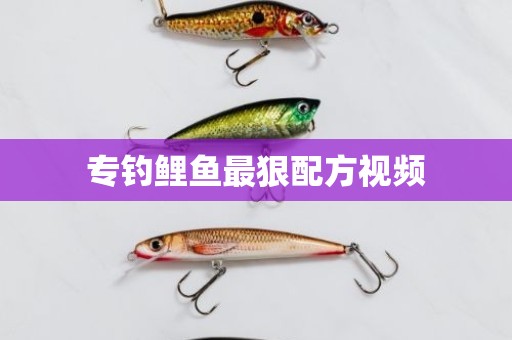 专钓鲤鱼最狠配方视频