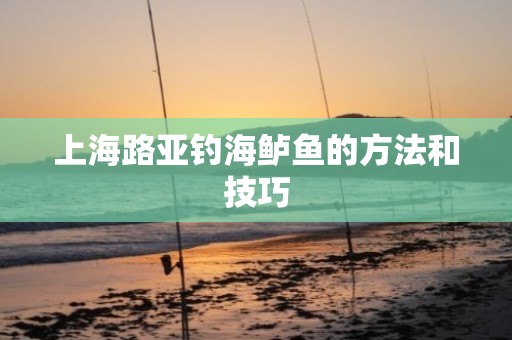 上海路亚钓海鲈鱼的方法和技巧