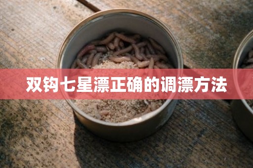 双钩七星漂正确的调漂方法