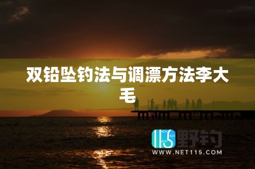 双铅坠钓法与调漂方法李大毛