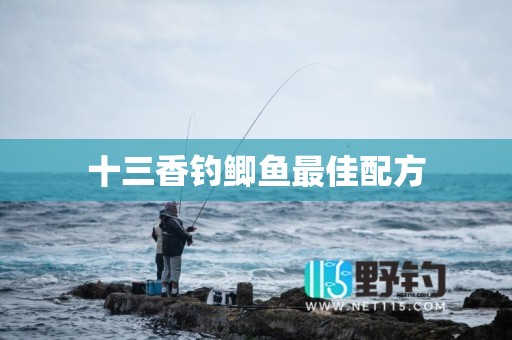 十三香钓鲫鱼最佳配方