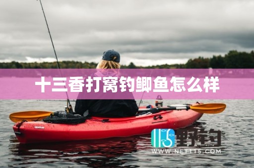 十三香打窝钓鲫鱼怎么样