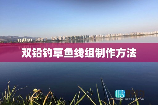 双铅钓草鱼线组制作方法
