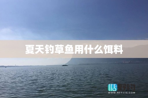 夏天钓草鱼用什么饵料