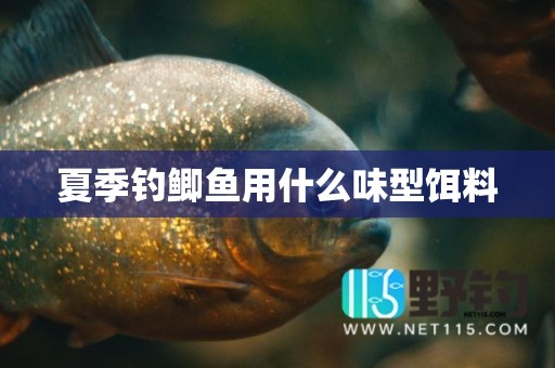 夏季钓鲫鱼用什么味型饵料