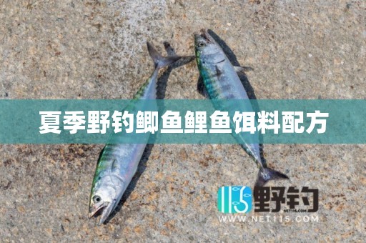 夏季野钓鲫鱼鲤鱼饵料配方