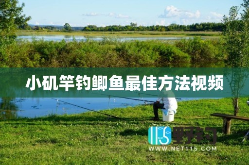 小矶竿钓鲫鱼最佳方法视频