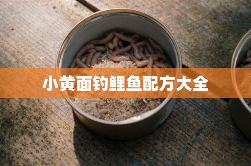 小黄面钓鲤鱼配方大全