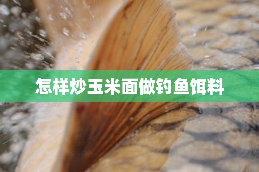 怎样炒玉米面做钓鱼饵料