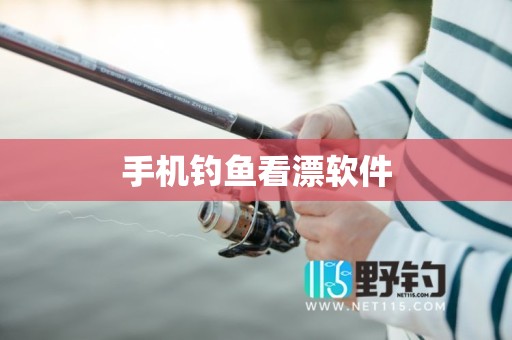 手机钓鱼看漂软件