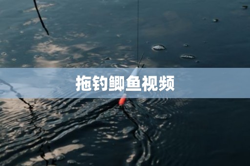 拖钓鲫鱼视频