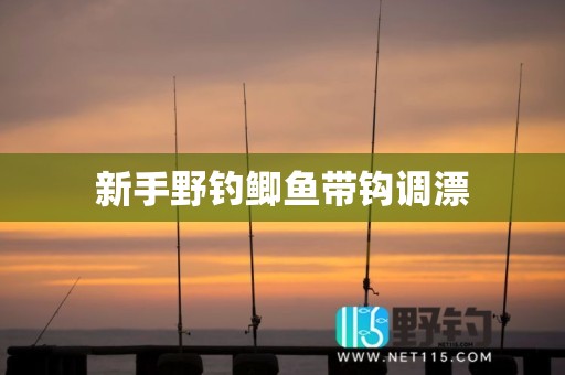 新手野钓鲫鱼带钩调漂