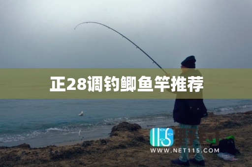 正28调钓鲫鱼竿推荐