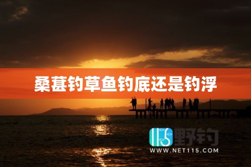 桑葚钓草鱼钓底还是钓浮