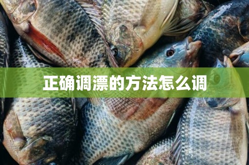 正确调漂的方法怎么调