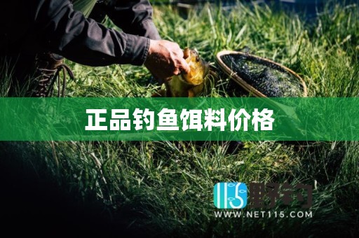 正品钓鱼饵料价格