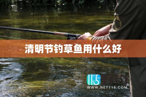 清明节钓草鱼用什么好