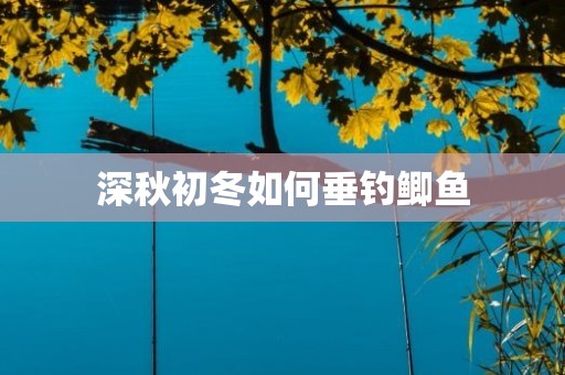 深秋初冬如何垂钓鲫鱼