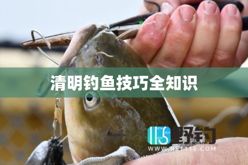 清明钓鱼技巧全知识