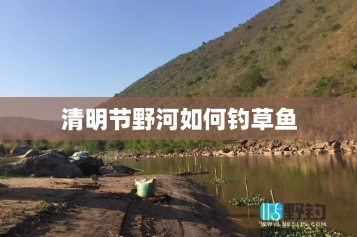 清明节野河如何钓草鱼