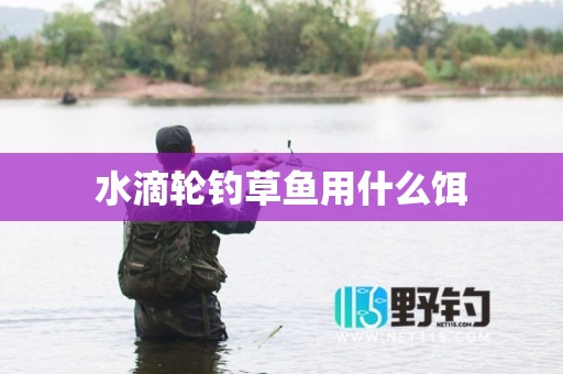 水滴轮钓草鱼用什么饵