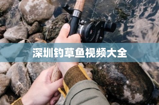 深圳钓草鱼视频大全