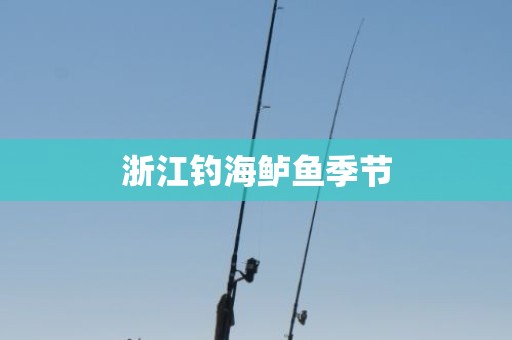 浙江钓海鲈鱼季节