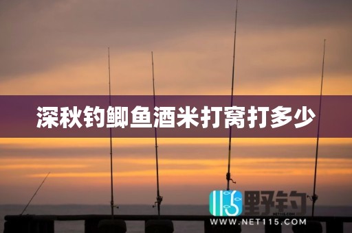 深秋钓鲫鱼酒米打窝打多少