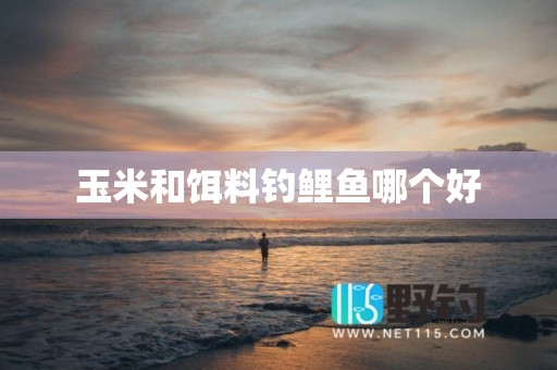 玉米和饵料钓鲤鱼哪个好
