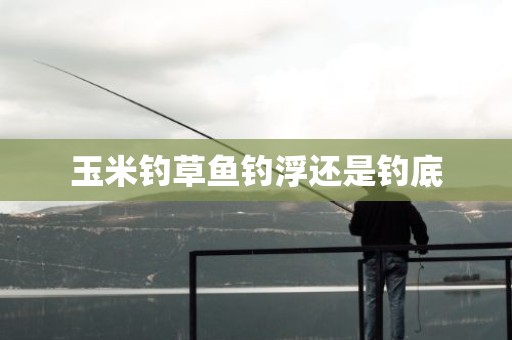 玉米钓草鱼钓浮还是钓底