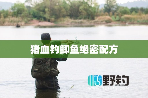 猪血钓鲫鱼绝密配方