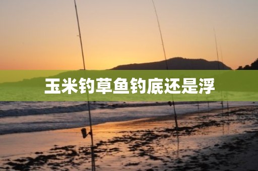 玉米钓草鱼钓底还是浮