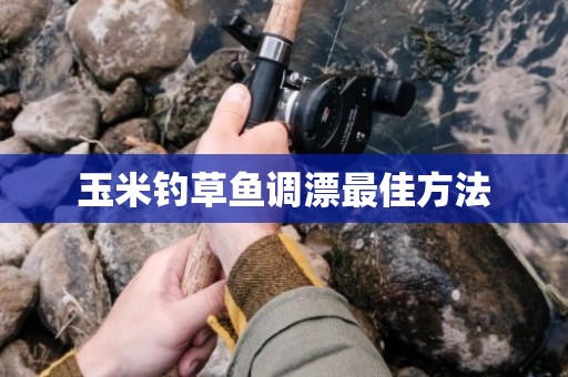 玉米钓草鱼调漂最佳方法