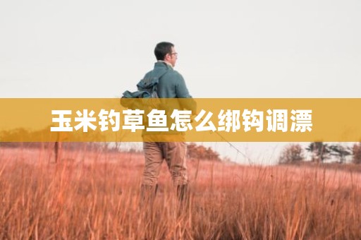 玉米钓草鱼怎么绑钩调漂
