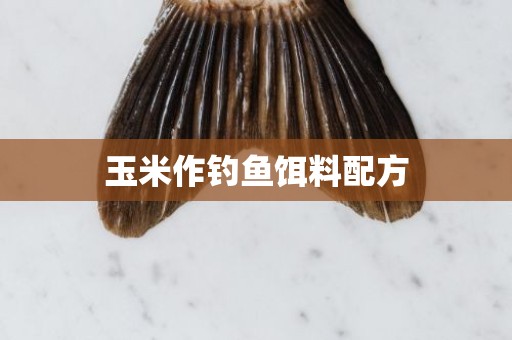 玉米作钓鱼饵料配方