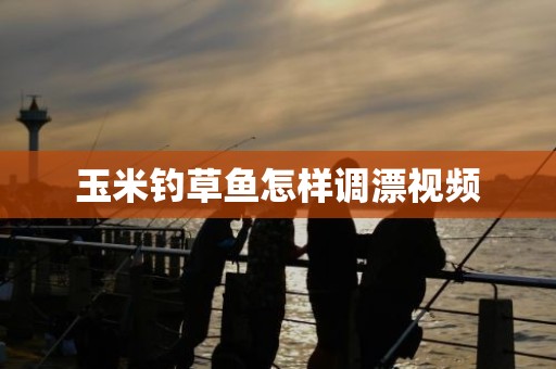 玉米钓草鱼怎样调漂视频