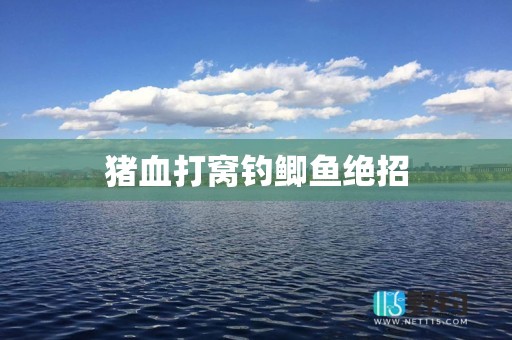 猪血打窝钓鲫鱼绝招