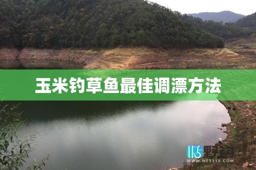 玉米钓草鱼最佳调漂方法