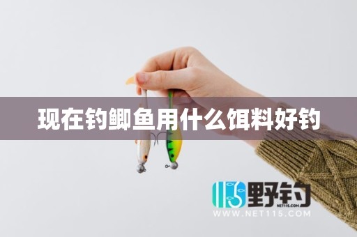 现在钓鲫鱼用什么饵料好钓