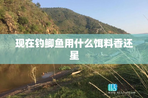 现在钓鲫鱼用什么饵料香还星
