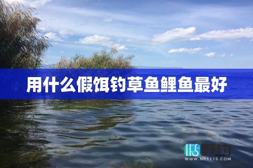 用什么假饵钓草鱼鲤鱼最好