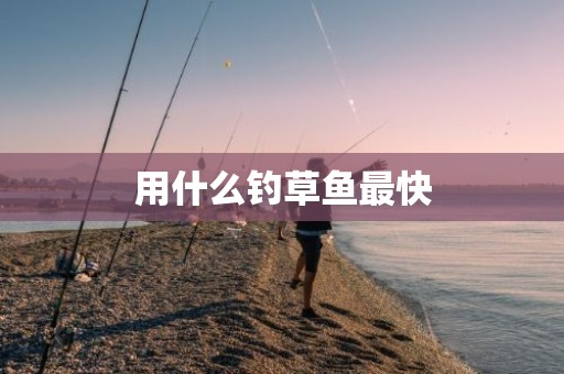 用什么钓草鱼最快