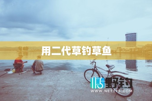 用二代草钓草鱼