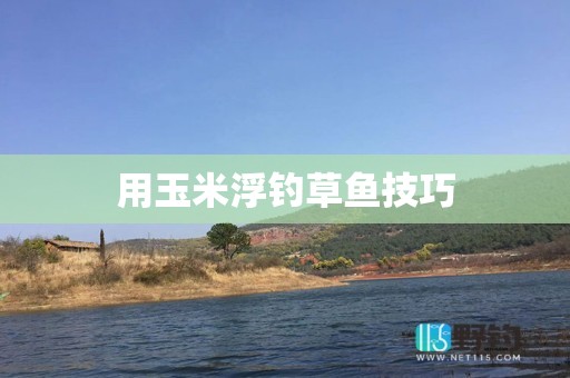 用玉米浮钓草鱼技巧