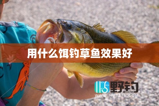 用什么饵钓草鱼效果好