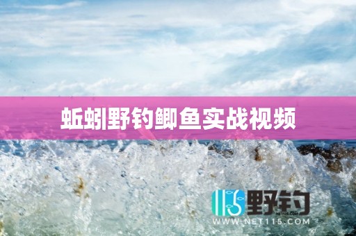 蚯蚓野钓鲫鱼实战视频