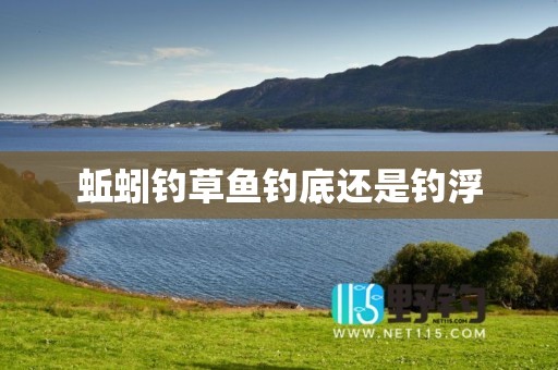 蚯蚓钓草鱼钓底还是钓浮